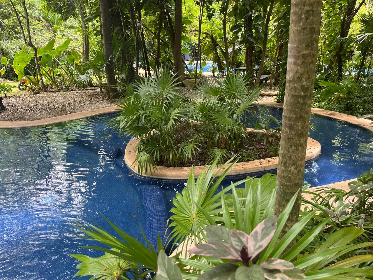 Departamento Parque Real